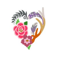 Garden Roses Flowers Garden Roses Flowers