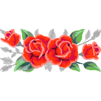 Garden Roses Flowers