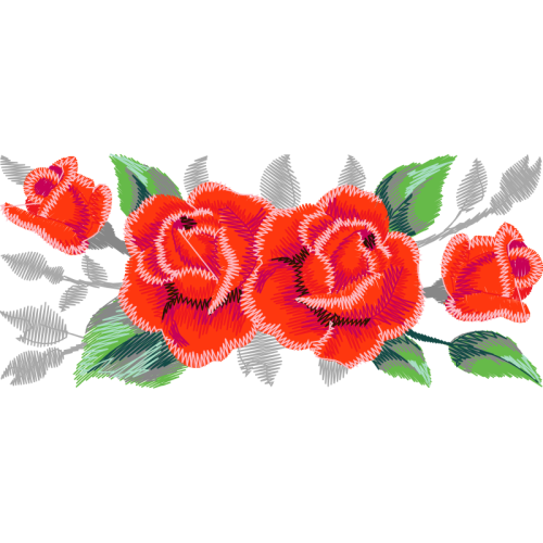 Garden Roses Flowers Garden Roses Flowers