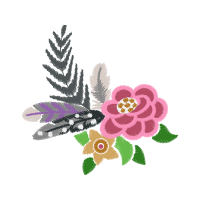 Garden Roses Flowers Garden Roses Flowers