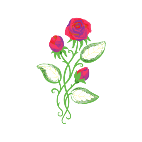 Garden Roses Flowers Garden Roses Flowers