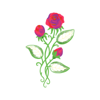 Garden Roses Flowers Garden Roses Flowers