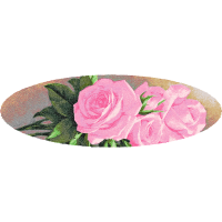 Garden Roses Flowers Garden Roses Flowers