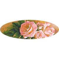 Garden Roses Flowers Garden Roses Flowers