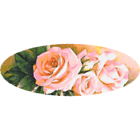 Garden Roses Flowers Garden Roses Flowers