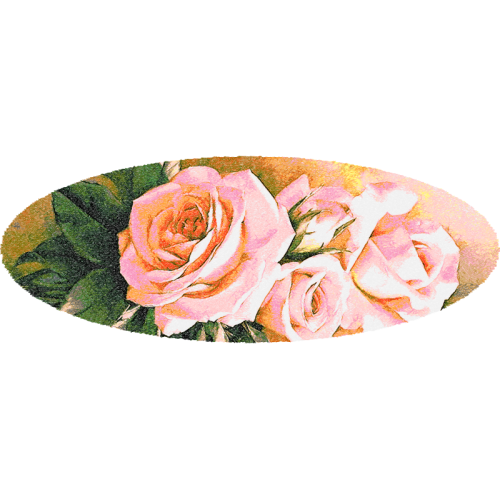 Garden Roses Flowers Garden Roses Flowers