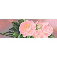 Garden Roses Flowers Garden Roses Flowers