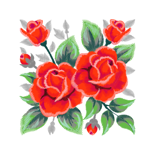 Garden Roses Flowers Garden Roses Flowers