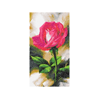 Garden Roses Flowers Garden Roses Flowers