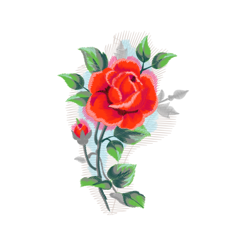 Garden Roses Flowers Garden Roses Flowers