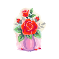 Garden Roses Flowers Garden Roses Flowers