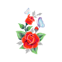 Garden Roses Flowers