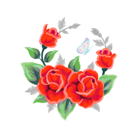 Garden Roses Flowers