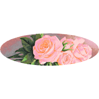 Garden Roses Flowers Garden Roses Flowers