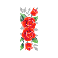 Garden Roses Flowers