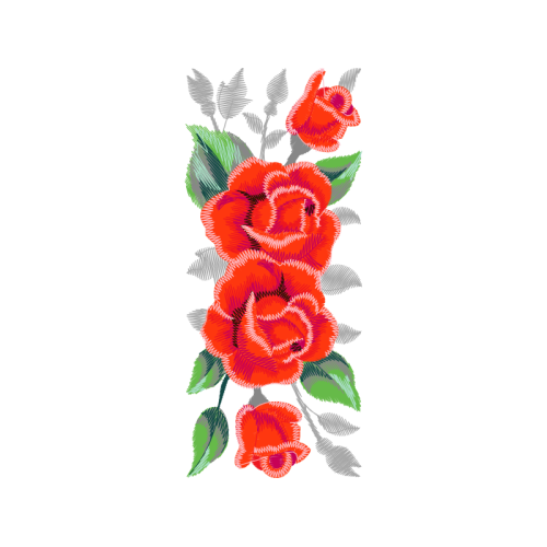 Garden Roses Flowers Garden Roses Flowers