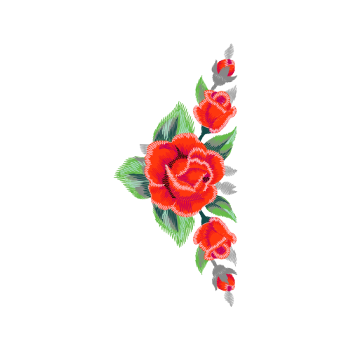 Garden Roses Flowers Garden Roses Flowers