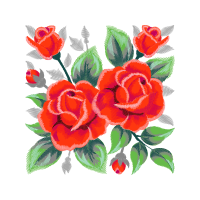 Garden Roses Flowers