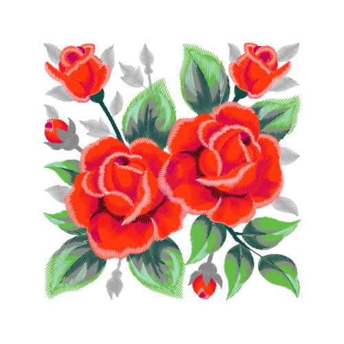 Garden Roses Flowers Garden Roses Flowers