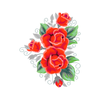 Garden Roses Flowers