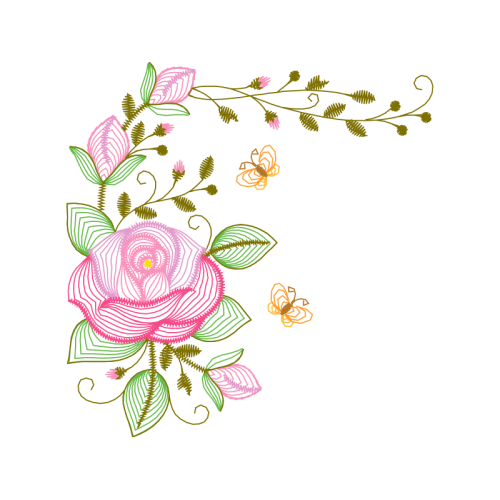 Garden Roses Flowers Garden Roses Flowers