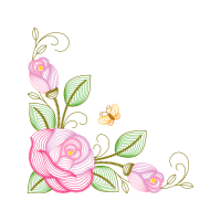 Garden Roses Flowers Garden Roses Flowers