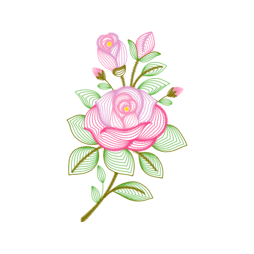 Garden Roses Flowers Garden Roses Flowers