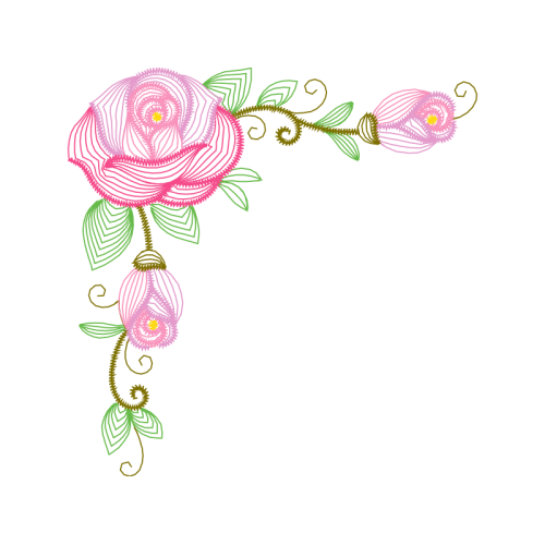 Garden Roses Flowers Garden Roses Flowers