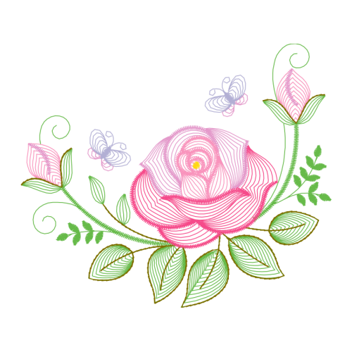 Garden Roses Flowers Garden Roses Flowers