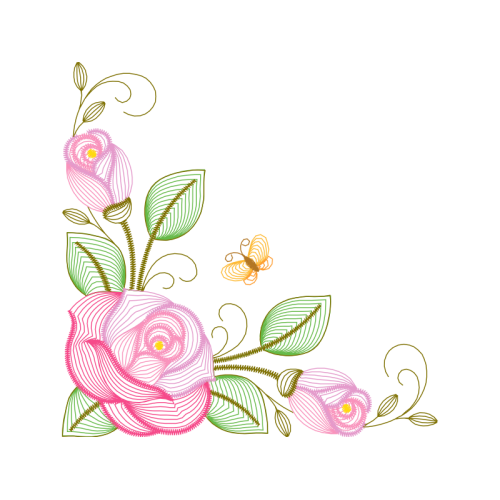 Garden Roses Flowers Garden Roses Flowers