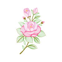 Garden Roses Flowers