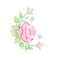 Garden Roses Flowers Garden Roses Flowers