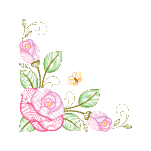 Garden Roses Flowers Garden Roses Flowers