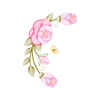 Garden Roses Flowers Garden Roses Flowers