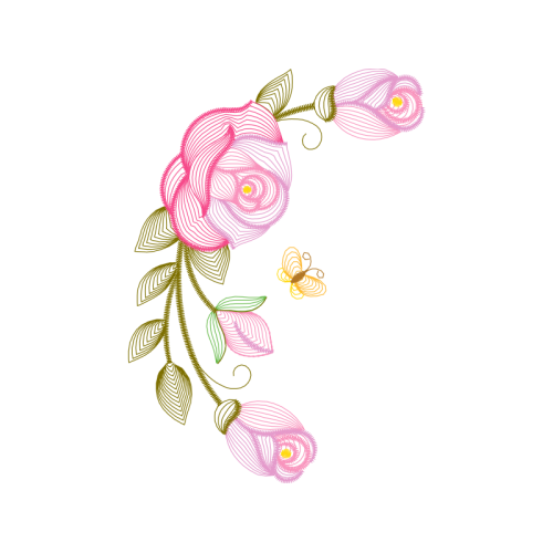 Garden Roses Flowers Garden Roses Flowers