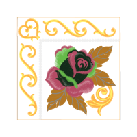 Garden Roses Flowers