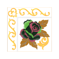 Garden Roses Flowers