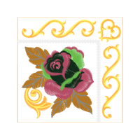 Garden Roses Flowers