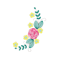 Garden Roses Flowers Garden Roses Flowers