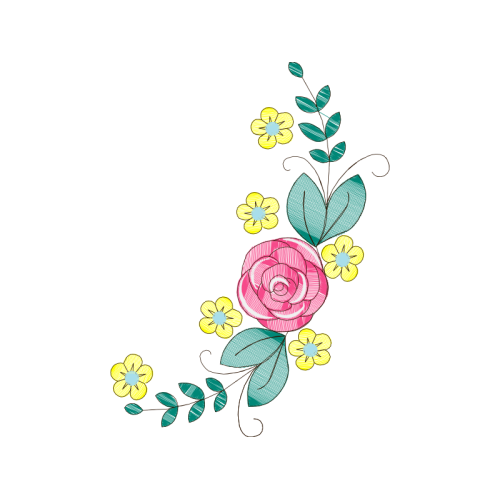 Garden Roses Flowers Garden Roses Flowers