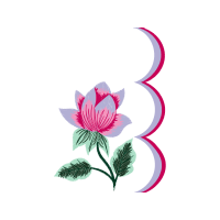 Garden Roses Flowers