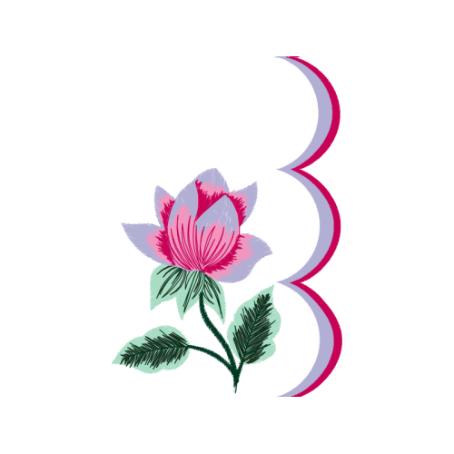 Garden Roses Flowers Garden Roses Flowers