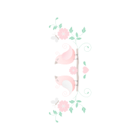 Garden Roses Flowers Garden Roses Flowers