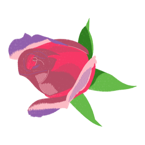 Garden Roses Flowers Garden Roses Flowers