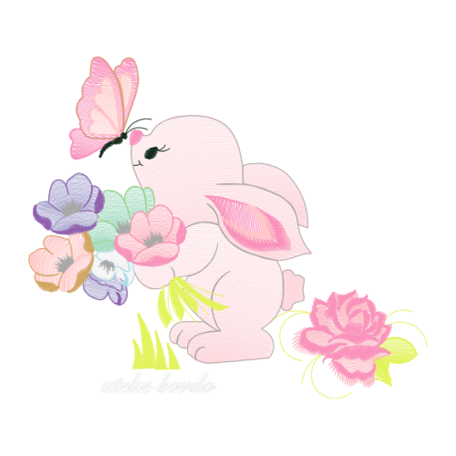 Garden Roses Flowers Garden Roses Flowers