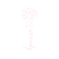 Garden Roses Flowers Garden Roses Flowers