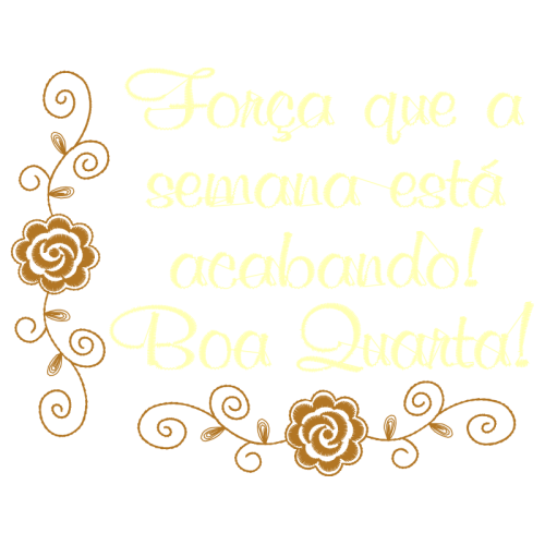 Garden Roses Flowers Garden Roses Flowers