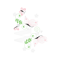 Garden Roses Flowers Garden Roses Flowers