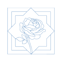 Garden Roses Flowers