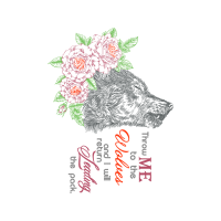 Garden Roses Flowers Garden Roses Flowers